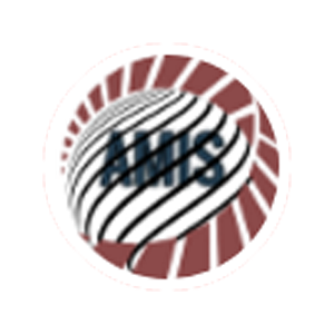 AMIS Coin Logo