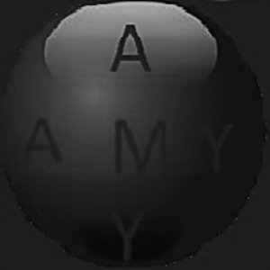 Amygws Coin Logo