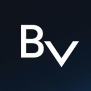 BLOCKv Coin Logo