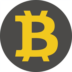 BitcoinX Coin Logo