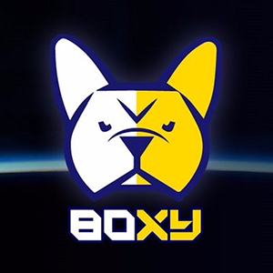 BoxyCoin Coin Logo