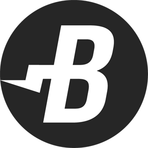 BurstCoin Coin Logo