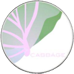 CabbageUnit Coin Logo