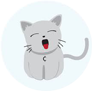 Catcoin Coin Logo