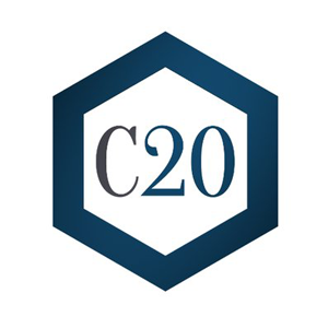 Crypto20 Coin Logo
