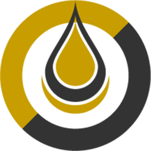 DarkGold Coin Logo