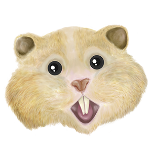 HamsterCoin Coin Logo