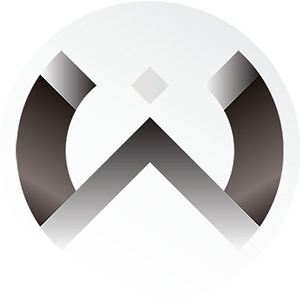 IwToken Coin Logo