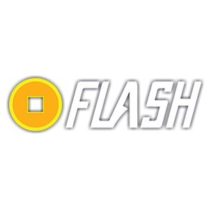 MegaFlash Coin Logo