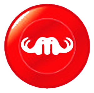 MemoryCoin Coin Logo