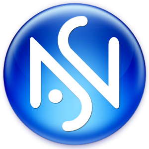 Nas2Coin Coin Logo