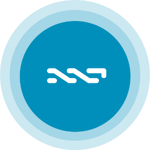 Nxt Coin Logo
