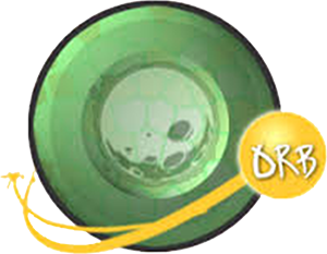 Orbitcoin Coin Logo
