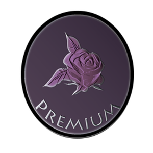 Premium Coin Logo