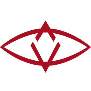 SingularDTV Coin Logo