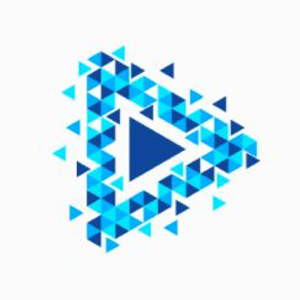 Votecoin Coin Logo
