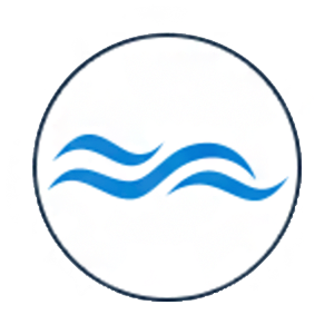 WavesGO Coin Logo
