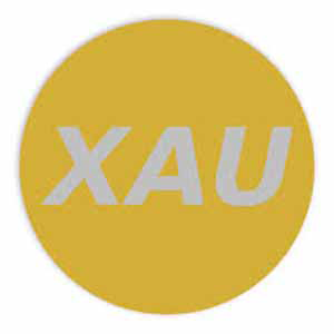 XauCoin Coin Logo