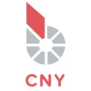 bitCNY Coin Logo